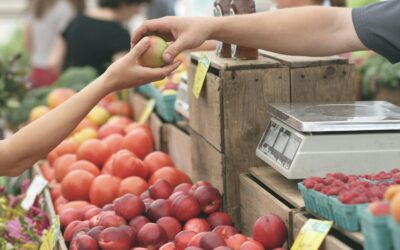 ESSEX COUNTY FARMERS MARKET GUIDE