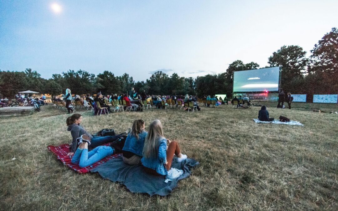 🎬 2025 Summer Outdoor Movie Series in Essex County